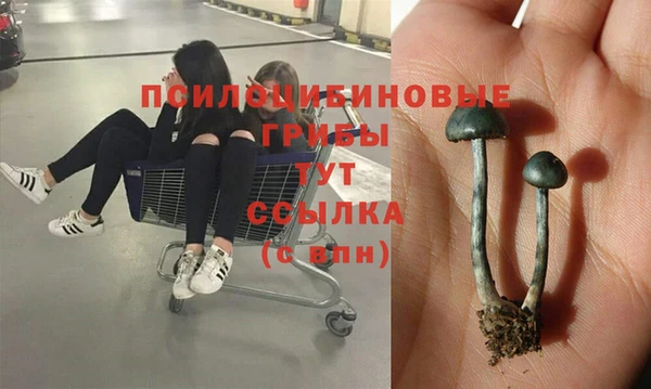 винт Алексин
